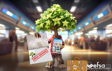 PlantHealth4Life-Kampagne der EFSA